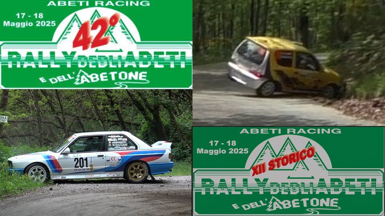 Rally Abeti 2025,Crash;mistakes,show...Pure Sound