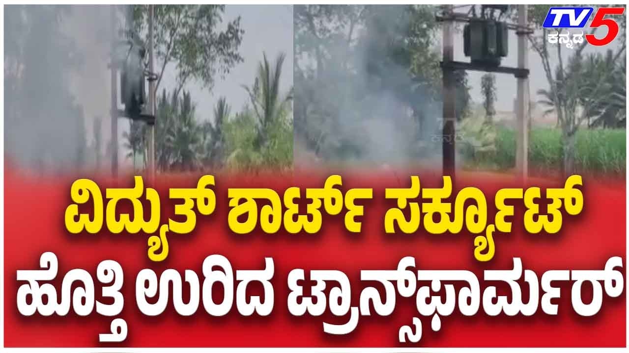 Transformer Fire Near Pandavapura Highway ವಿದ್ಯುತ್ ಶಾರ್ಟ್ ಸರ್ಕ್ಯೂಟ್  ಹೊತ್ತಿ ಉರಿದ ಟ್ರಾನ್ಸ್‌ಫಾರ್ಮರ್