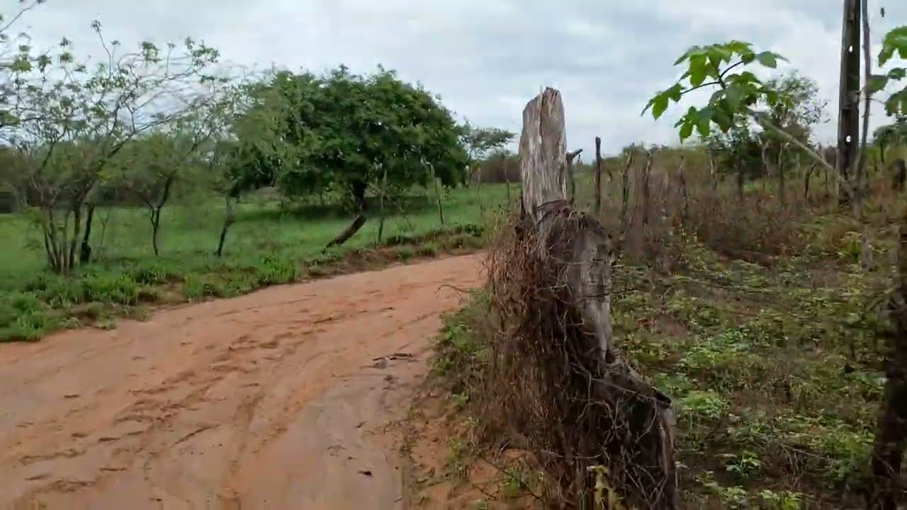 DO POVOADO SANTO ANTÔNIO PRA LAGOA DA COROA MUNICÍPIO DE ESTRELA DE ALAGOAS 
