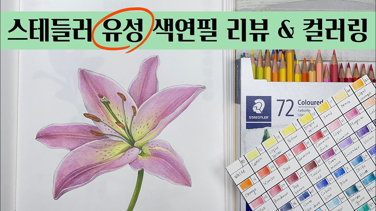 색연필 보태니컬 아트/ 스테들러 유성 색연필 72색 리뷰 & 컬러링북 채색 / 나의 꽃그림 색연필 컬러링북 /컬러링북 하기에 가성비 좋은 색연필 추천