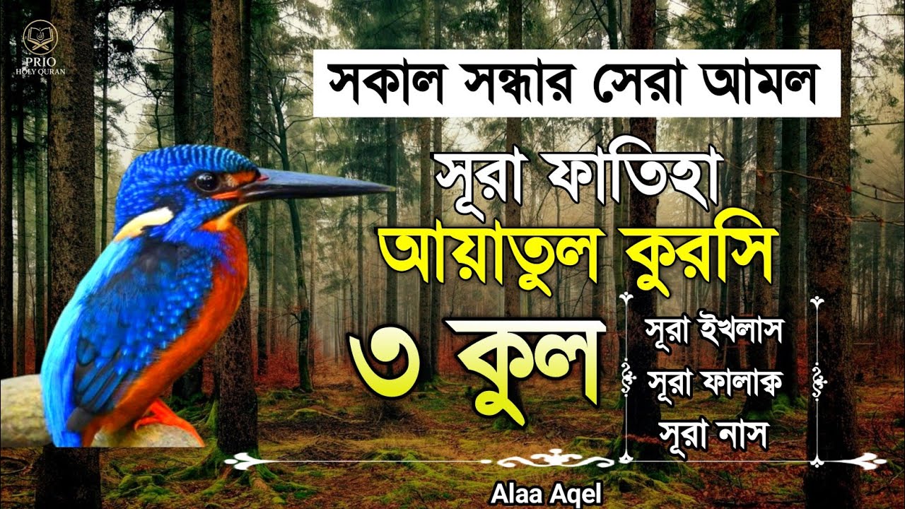 সকাল সন্ধ্যায় শুনুন সূরা ফাতিহা আয়াতুল কুরসি ৩কুল | Surah Fatiha Ayatul kursi 3qul | Alaa Aqel |