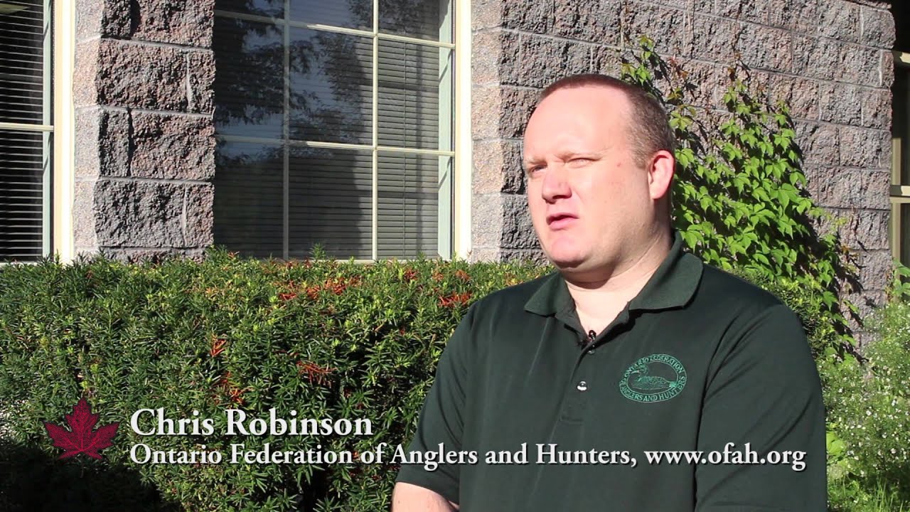 Angler Harassment in Toronto