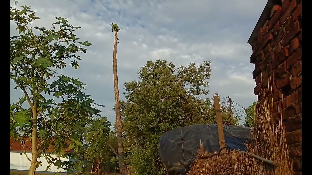 Beautiful village status video village nature status #status#village#shorts