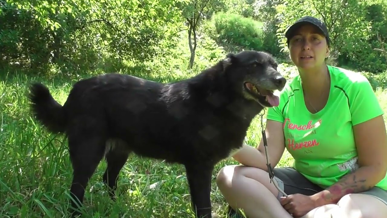 Garo – Manche Hunde begleiten dich durchs Leben. Garo verändert es!