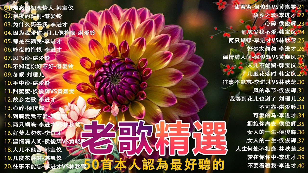 经典老歌🎯100首70、80、90年代唱遍大街小巷的歌曲今天给大家推荐 ✨ 推荐50多岁以上的人真正喜欢的歌曲 | 李进才| 韩宝仪 | 刘珺儿 | 湛爱铃 | 赖冰霞 | 谢采妘 | 喻方君