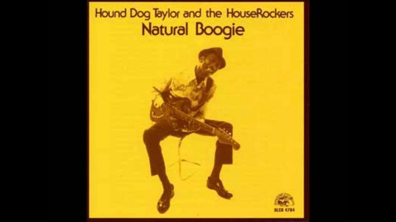 Hound Dog Taylor & The Houserockers - Sadie