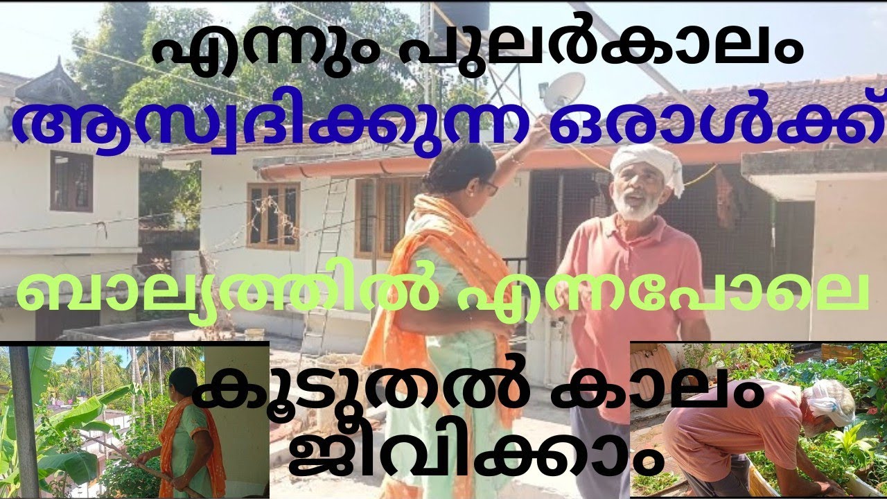 എന്നും പുലർകാലം ആസ്വദിക്കുന്ന ഒരാൾക്ക് ബാല്യത്തിലെന്നപോലെ കൂടുതൽ കാലം ജീവിക്കാനാകും!  