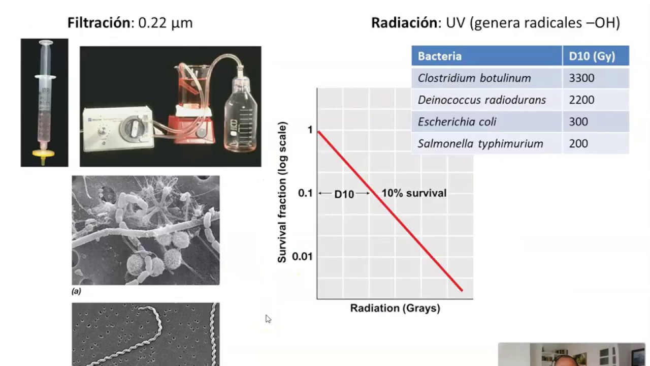 control crecimiento bacteriano
