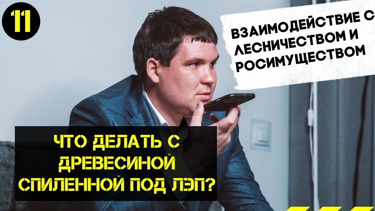 Что делать со спиленной древесиной под ЛЭП? Взаимодействие с лесничеством и РОСИМУЩЕСТВОМ
