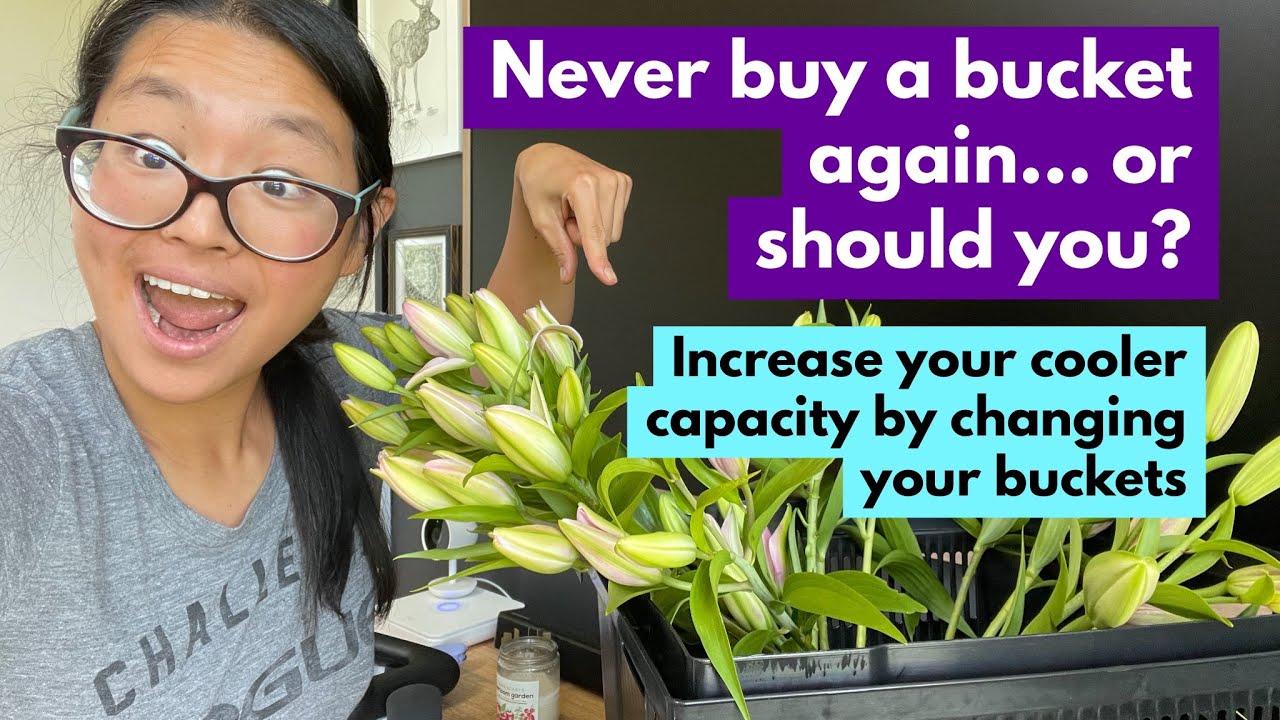 Never buy a bucket again... or should you? Increase your cooler capacity by changing your buckets