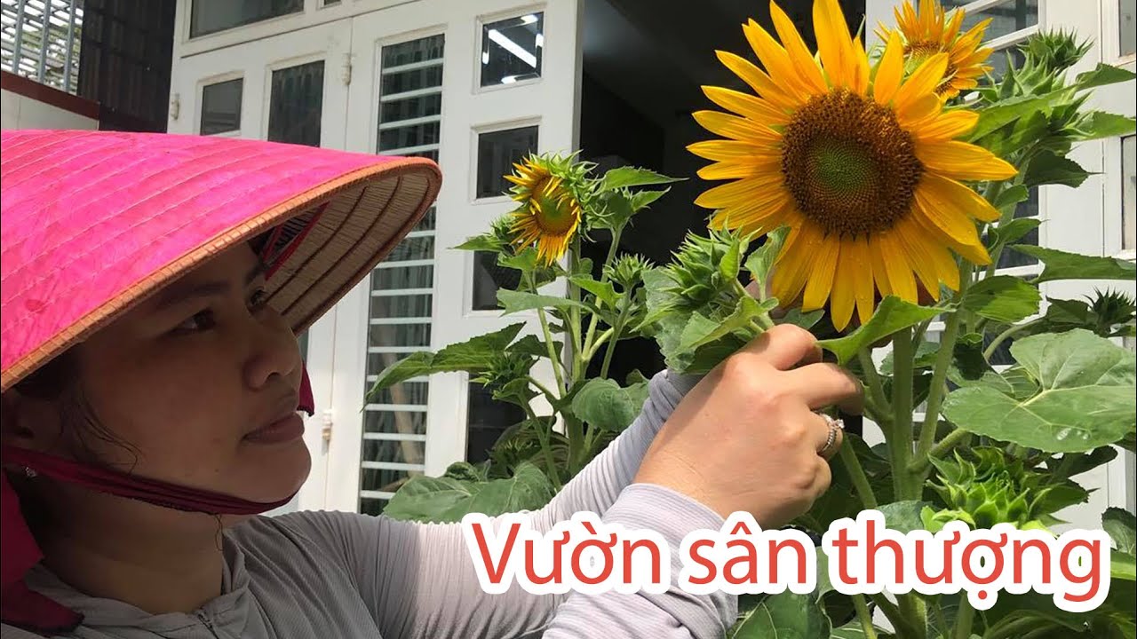 Amazing Urban Garden of a Vietnamese Mother in Saigon, Vietnam