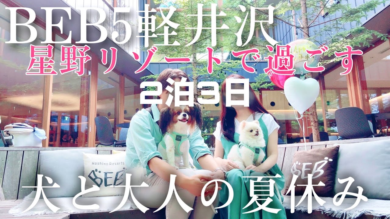 【犬と軽井沢で過ごす①】大人の夏休み/BEB5軽井沢/星野リゾート/vlog/papillon/pome/軽井沢ショッピングプラザ/ハルニレテラス/ラルフローレンの期間限定カフェへ