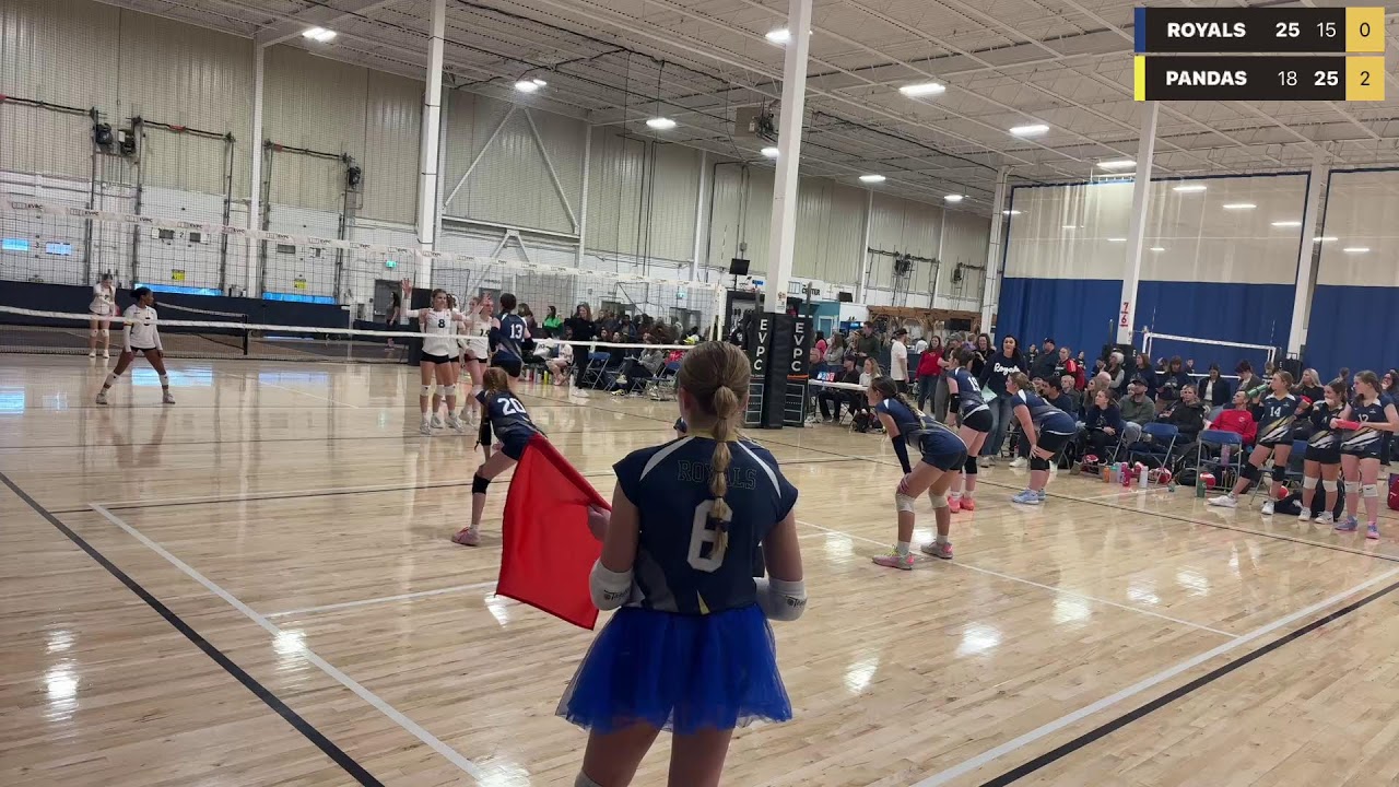 Live powered by Swish Live app
ROYALS VS PANDAS
