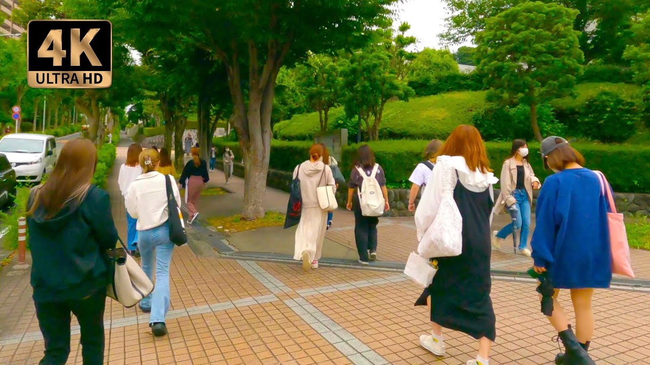 🇯🇵 Student GIRLS are going to the UNIVERSITY - YOKOHAMA ⎡ 4K ⎦