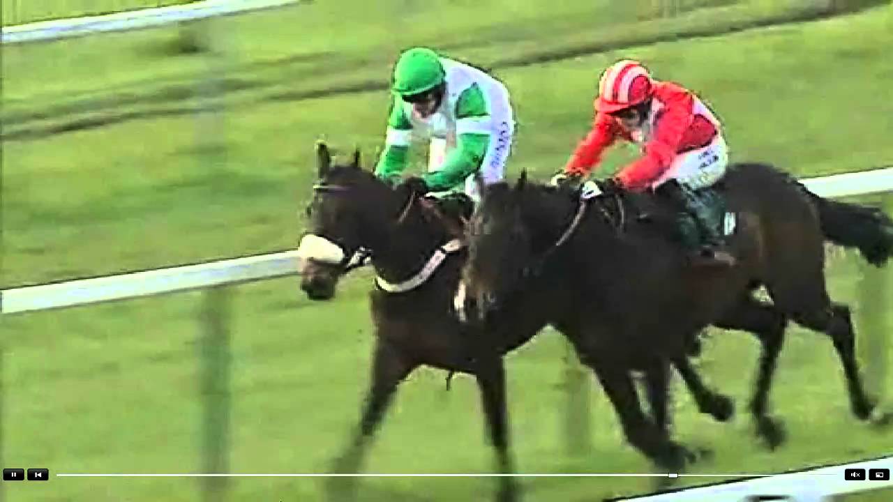 Historic Race at Towcester Racecourse