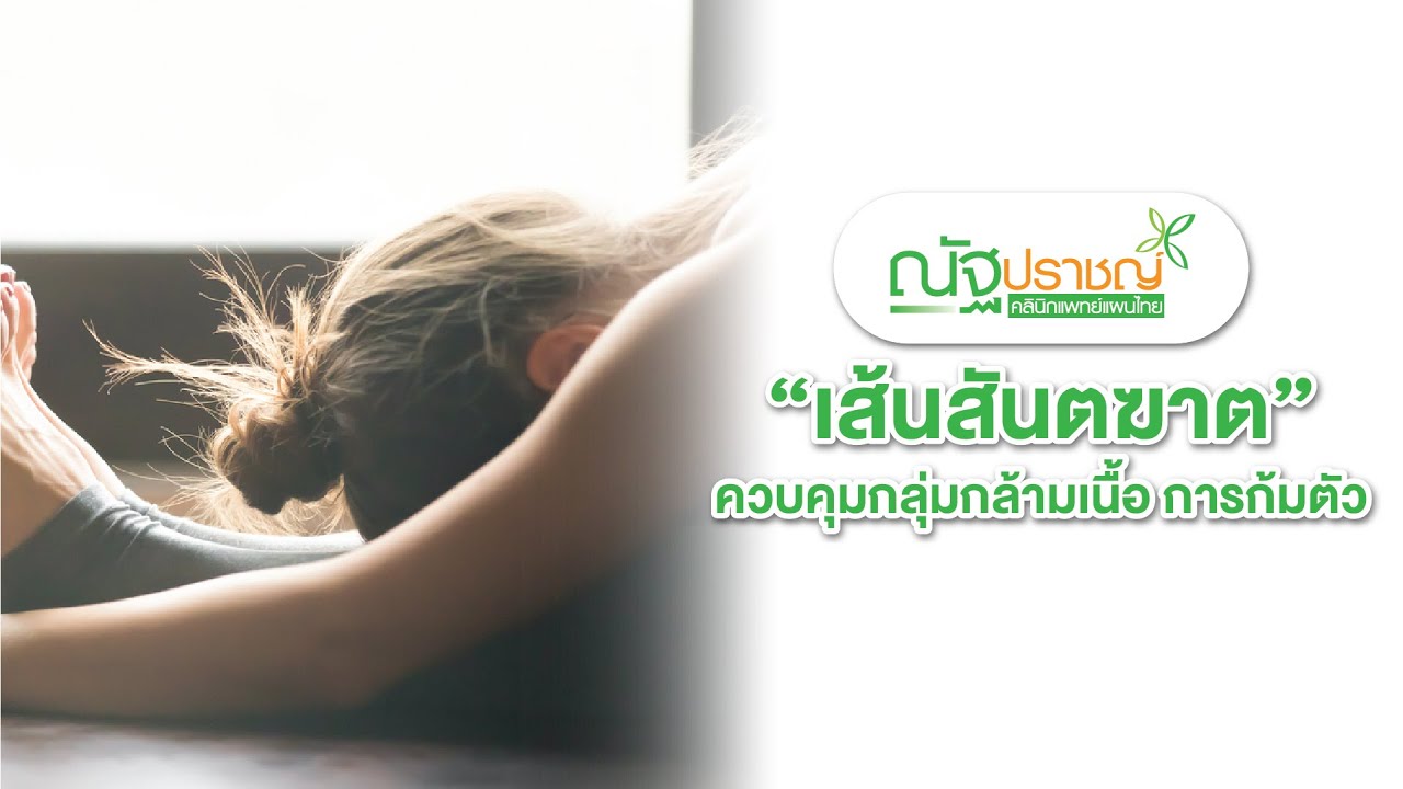 EP.09 เส้นสันตฆาต ควบคุมกลุ่มกล้ามเนื้อ การก้มตัว