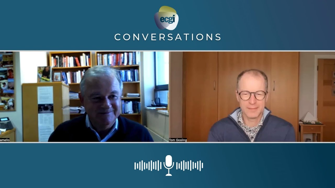 ECGI Conversation - Antonio Mello