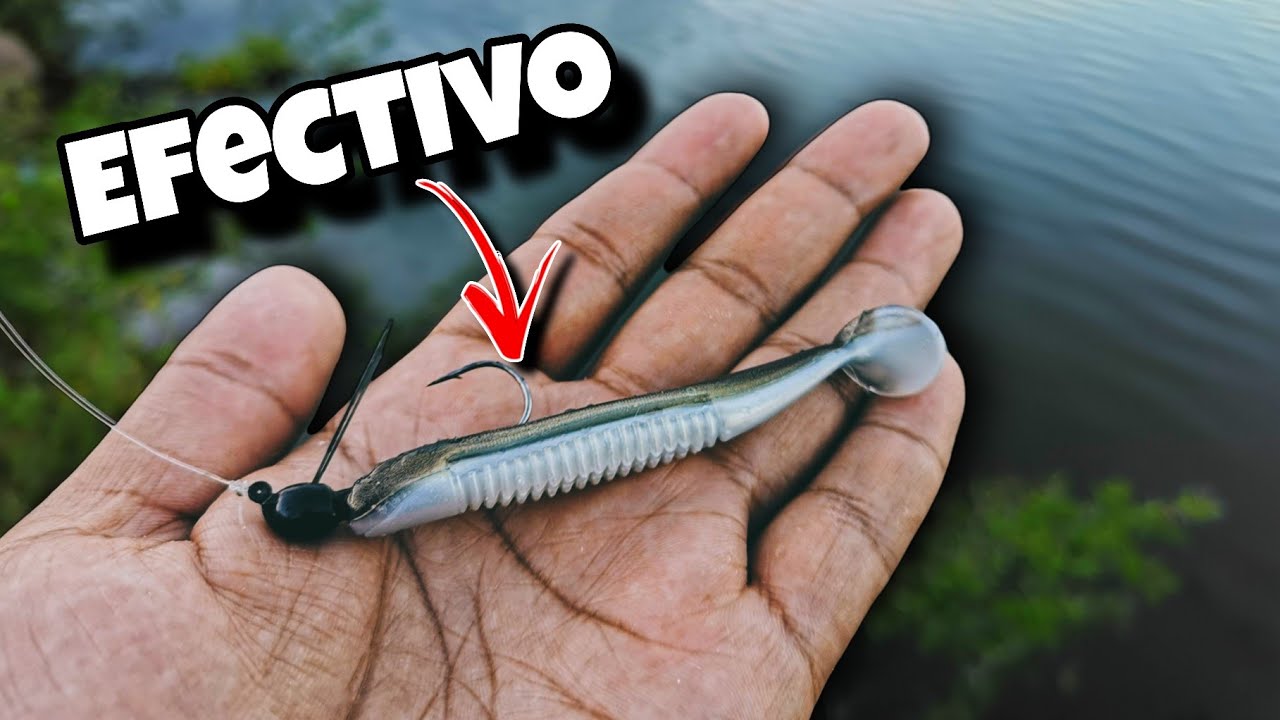 Pesca de ORILLA con Swimbait en este efectivo arreglo | Imitando sardinas