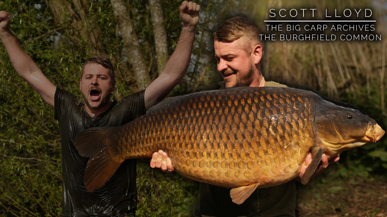 Scott Lloyd - The Burghfield Common