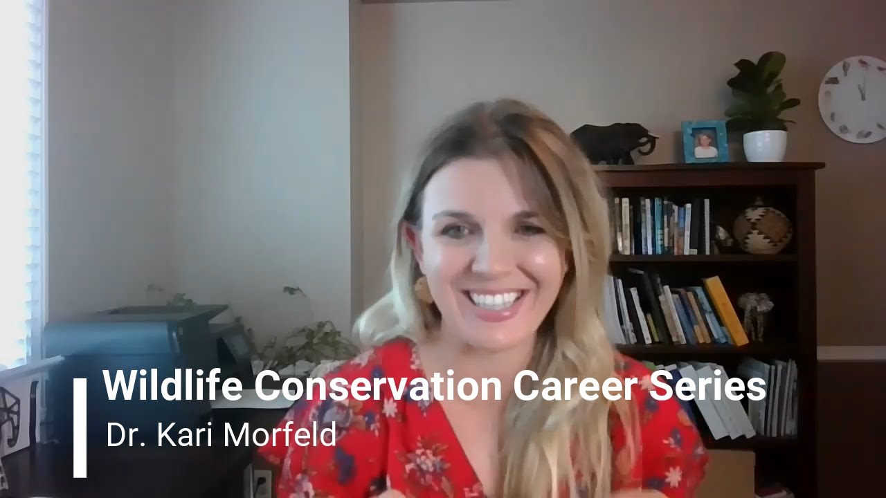 Wildlife Conservation Career Series:  my #1 tip for graduate & undergraduate students