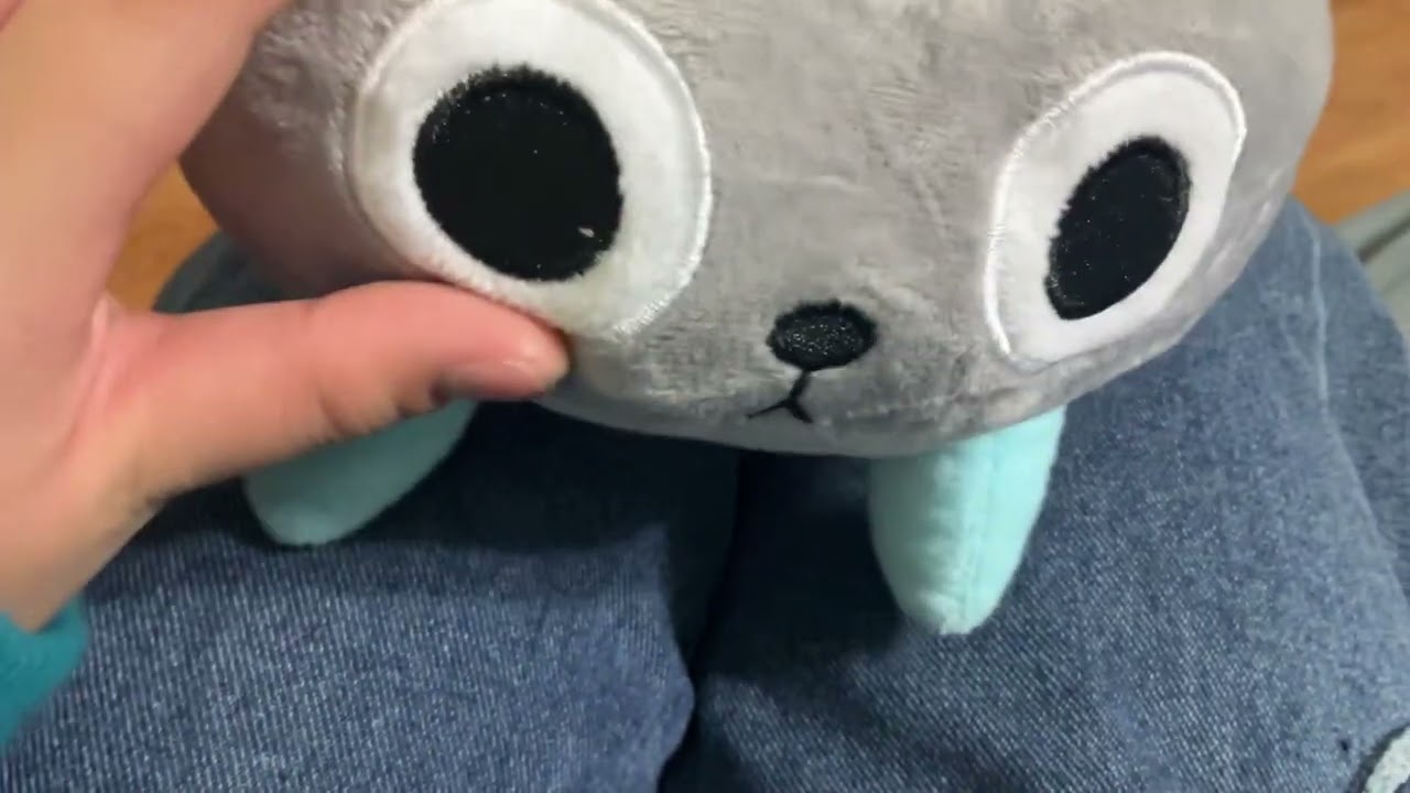 How to take care of  pebble plushie