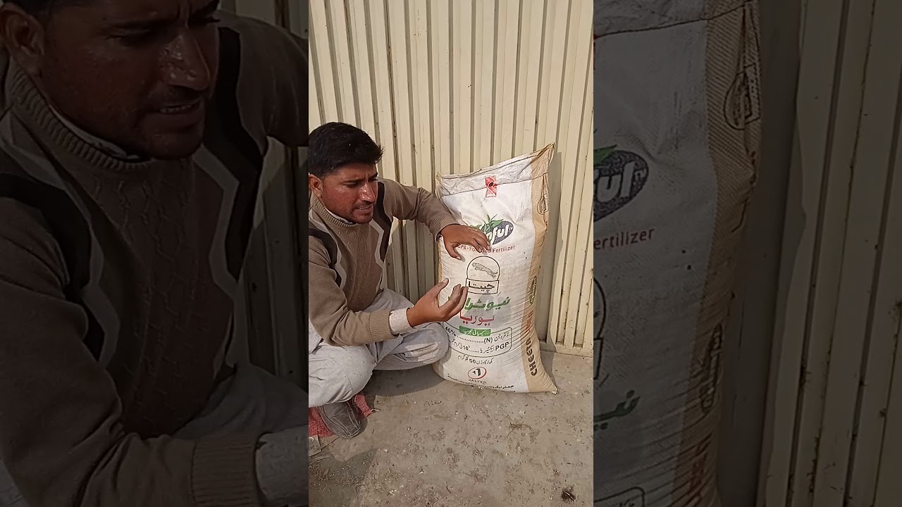 Urea Nutraful