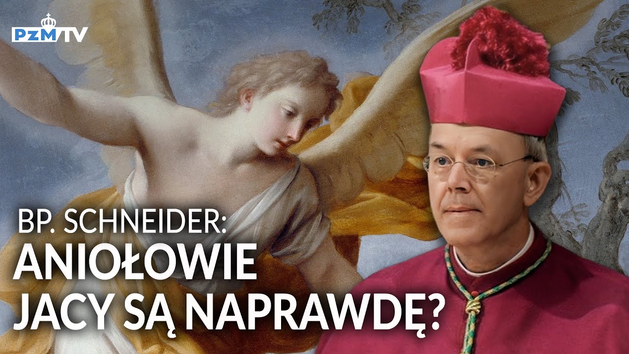 BP SCHNEIDER: ANIOŁOWIE. JACY NAPRAWDĘ SĄ?