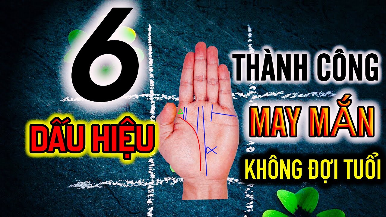 6 Dấu Hiệu Cho Thấy Bạn Sẽ Thành Công Không Đợi Tuổi, Tài Năng, May Mắn Hơn Người