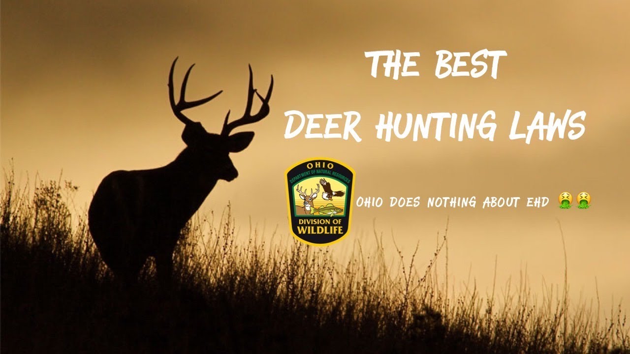The Best Deer Hunting Regulations | Ohio no action for EHD in 2023
