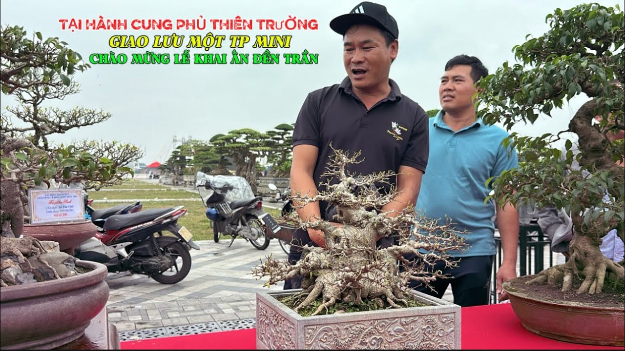 GIAO LƯU MỘT TP MINI TẠI hành cung phủ Thiên Trường | Quảng Tùng
