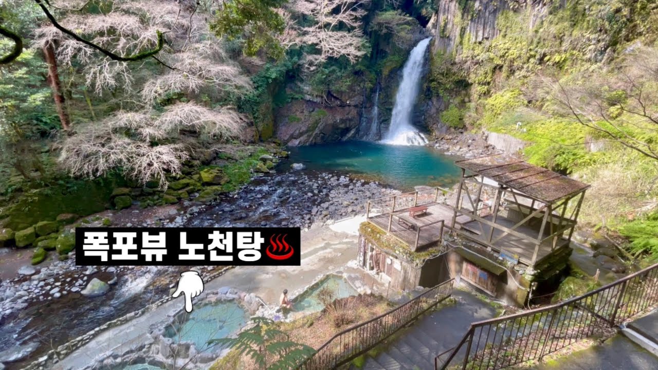 여기가 지상낙원! 시즈오카 료칸 추천, 카이유테이ㅣ시즈오카 카와즈 온천 여행ㅣ고독한 미식가 와사비동ㅣ静岡県のおすすめ温泉旅館、河津温泉郷 海遊亭