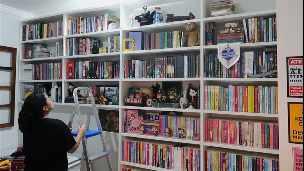 organizando minha estante com mais de 800 LIVROS!