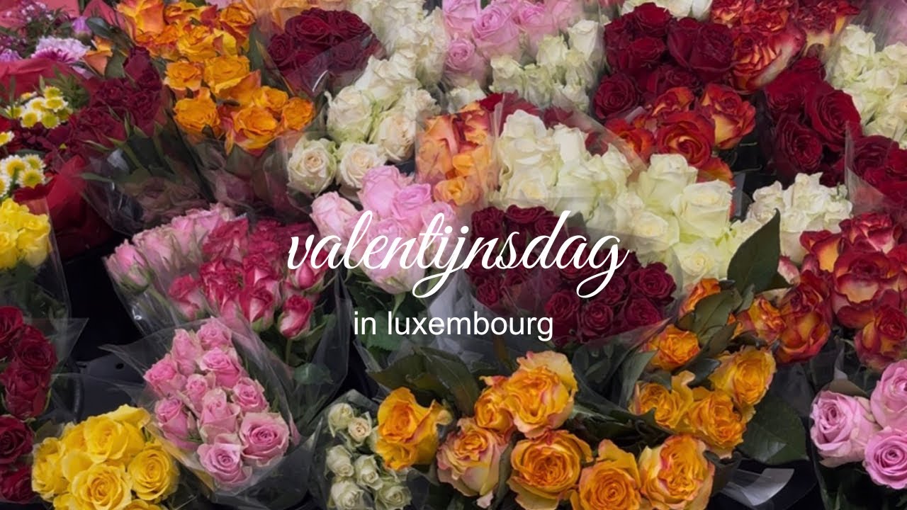 vday in luxembourg