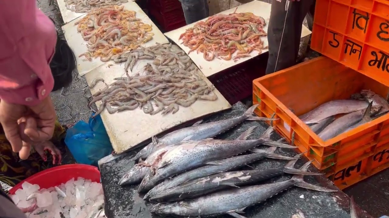 Malad Fish Market Sunday Bazaar populate, Ravas Surmai, beautiful fish 9 February 2026