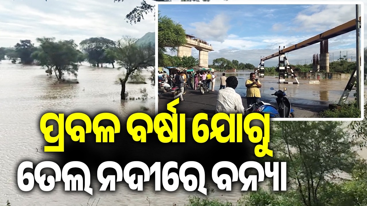 Heavy Rains Trigger Flooding in the Tel River in Kalahandi | Kalinga TV