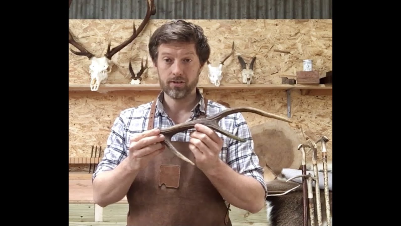 Working with Deer Antler and Hide - Barry Stoffell with the Irish Deer Commission
