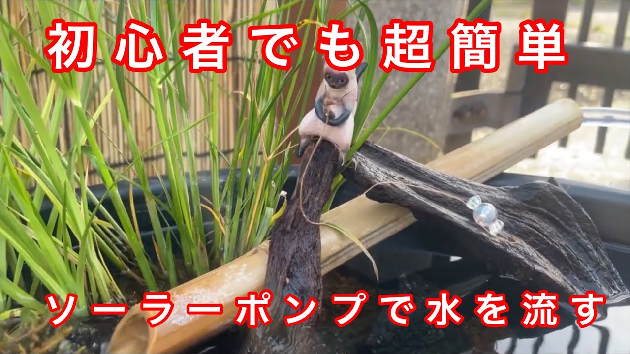 ソーラーポンプをメダカの睡蓮鉢に導入しました🥰