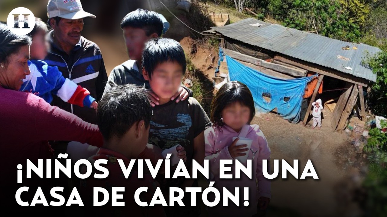 ¡Sobrevivían entre cartón y frío! Rescatan a 8 niños que vivían en extrema precariedad en Chiapas