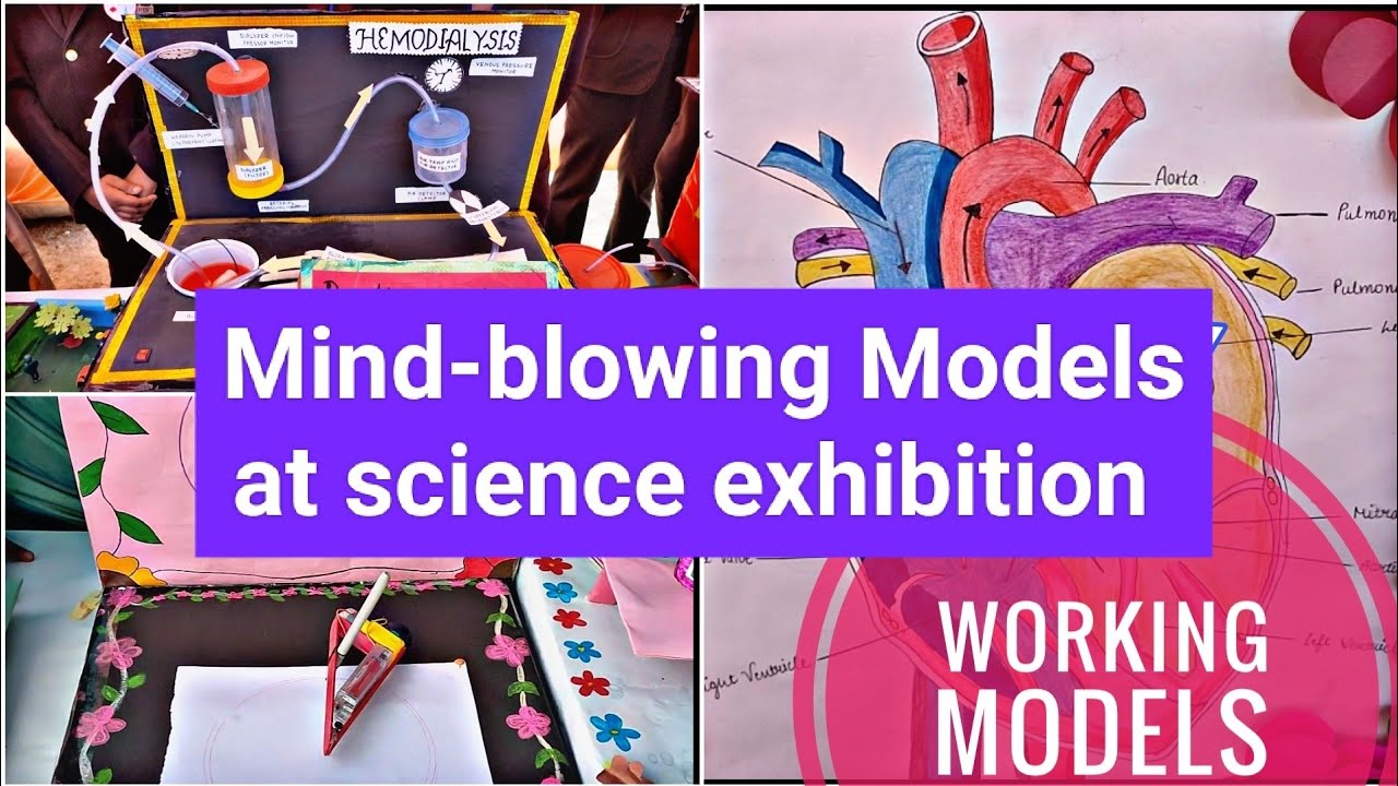 Mind-blowing science models at our school exhibition