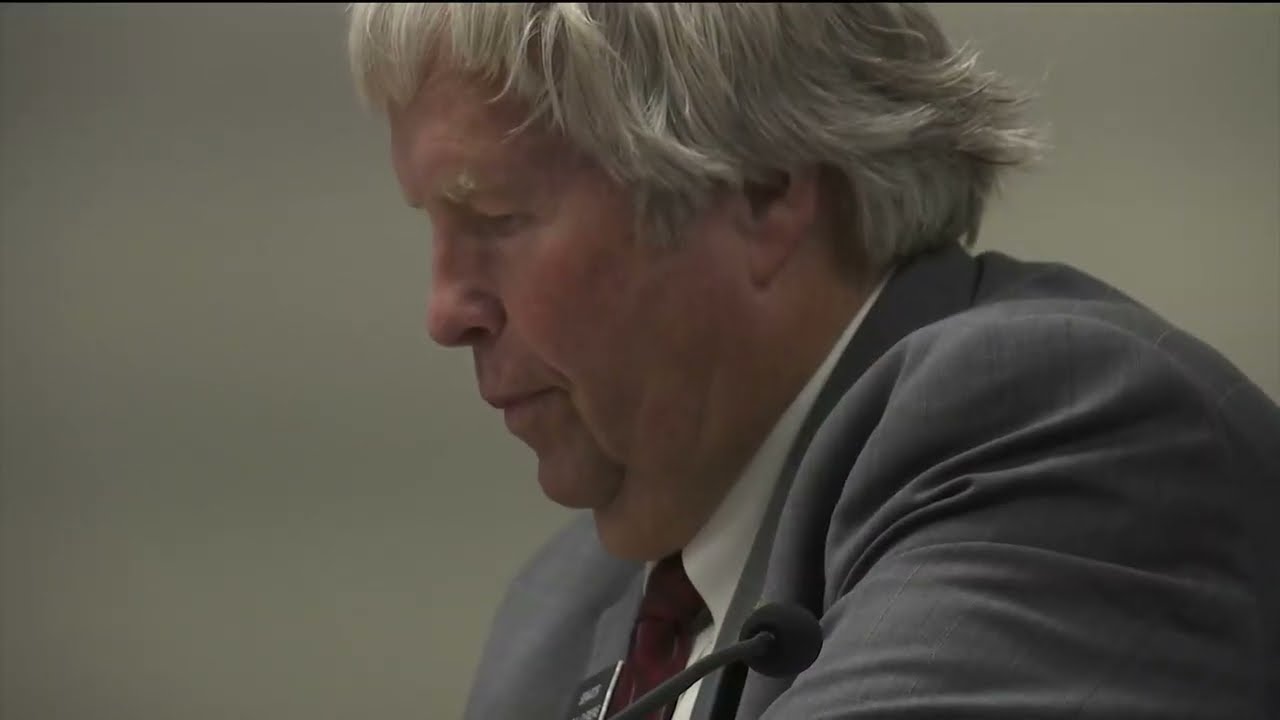 Child Custody review task force