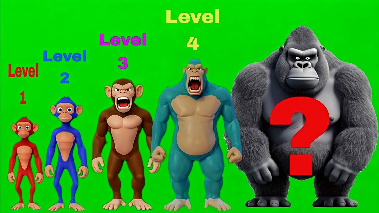 1 2 3 4❓| Level Monkey 