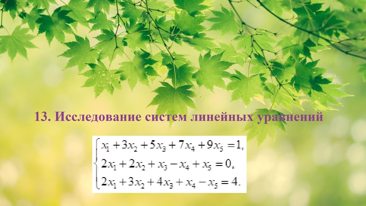 13  Исследование систем линейных уравнений