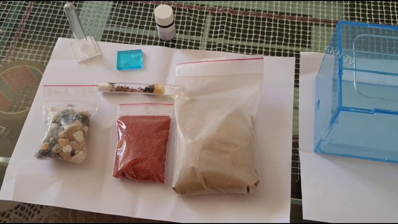 Karınca Koloni ' miz ve Formicarium Sonunda Geldi / Paket açılımı / Part 1