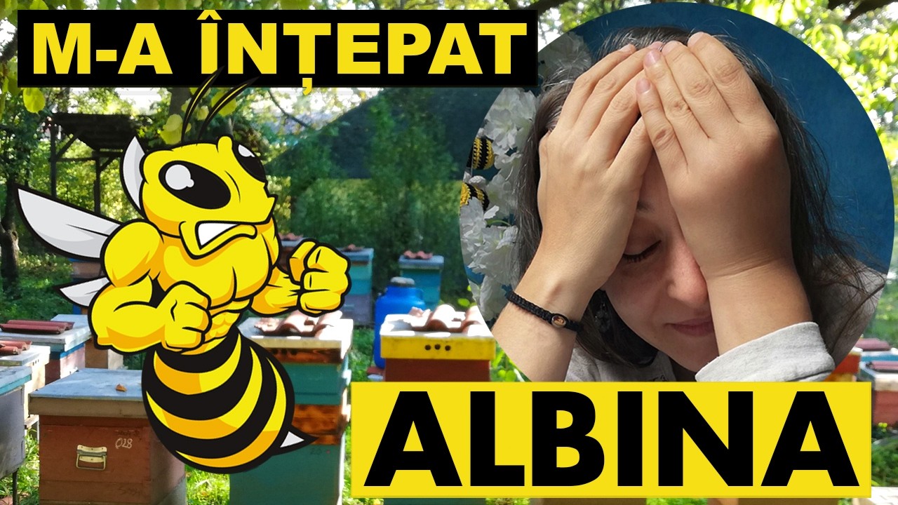 M-A ÎNȚEPAT ALBINA! Sunt alergică? Renunț la stupină? Ce facem dacă ne înțeapă o albine?