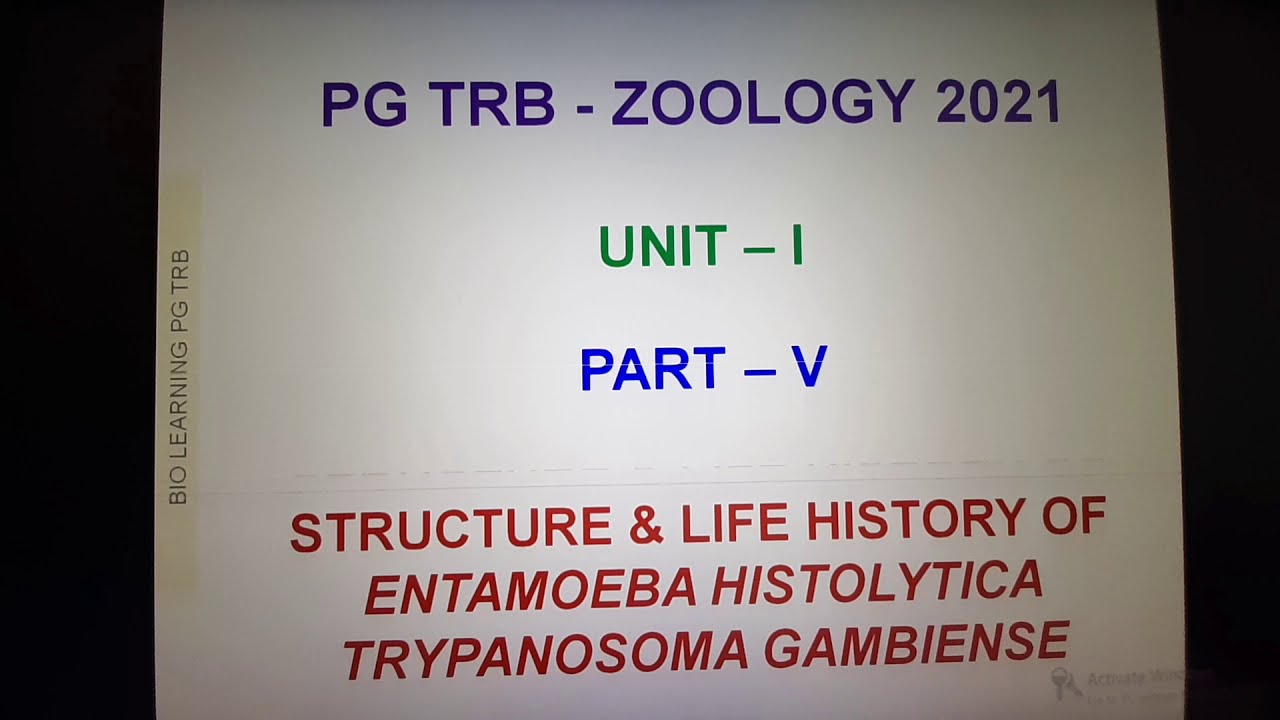 PG TRB ZOOLOGY UNIT 1 PART 5 STRUCTURE AND LIFE HISTORY OF E.HISTOLYTICA & T.GAMBIENSE
