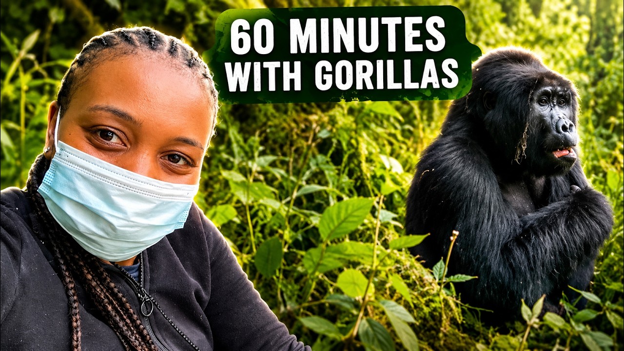 My Time with Gorillas in the Ugandan Rainforest | Bwindi Impenetrable forest 