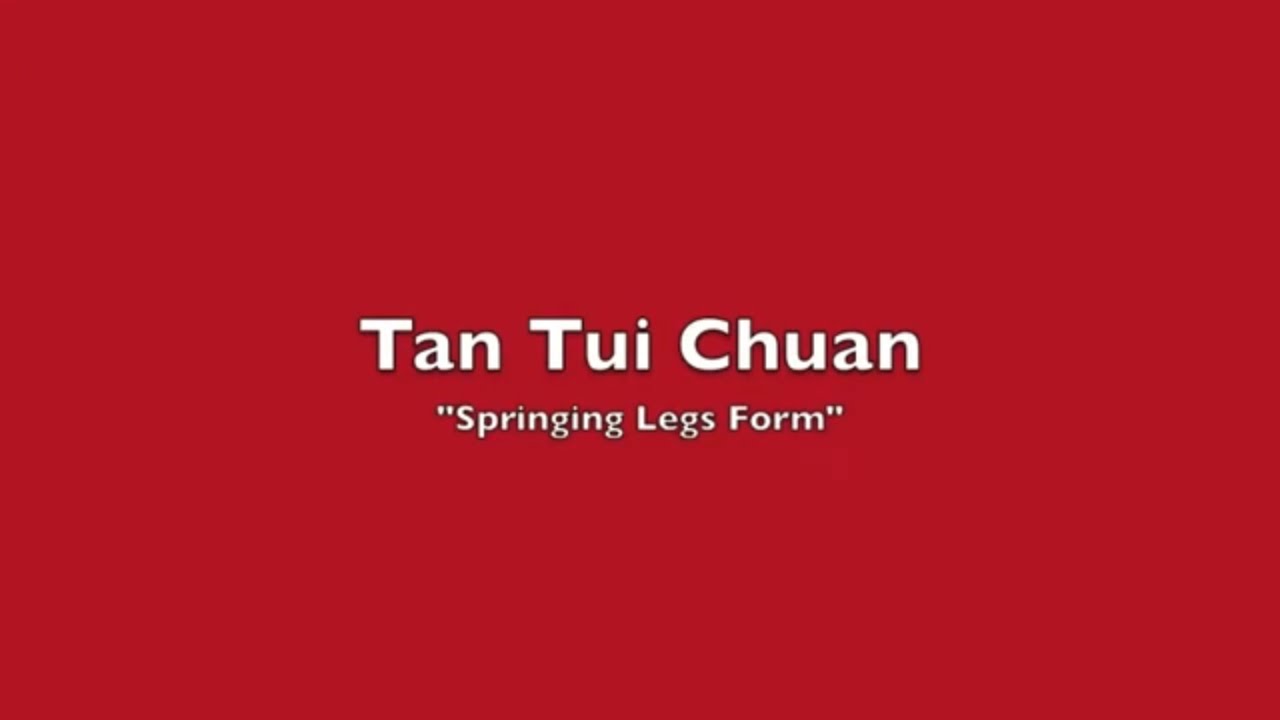 Demonstration of Tan Tui Chuan - Northern Shaolin's 