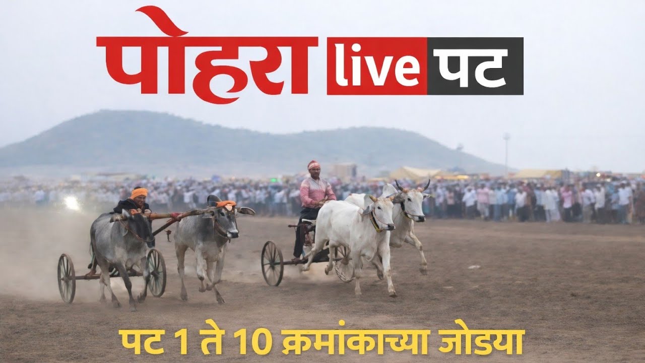 पोहरा पट फायनल च्या जोड्या संपूर्ण 1 ते 10 क्रमांकाच्या जोड्या 