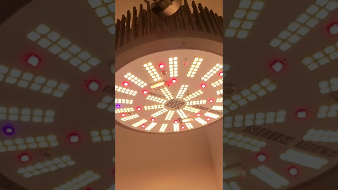 2 Instant Winners - #OpticLEDGiveaway - 10 PhatSlim 1XL Dimmable in the giveaway.