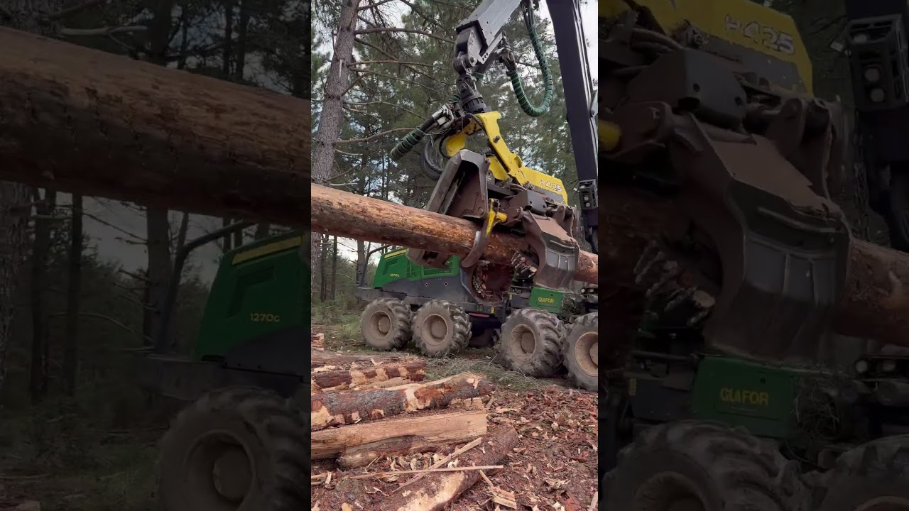 &ldquo;The Ultimate Logging Machine:Harvester Tech That Transforms Forestry&rdquo;🌲 #forest #johndeere #logging